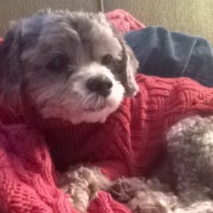 Meet your Posher, Laura