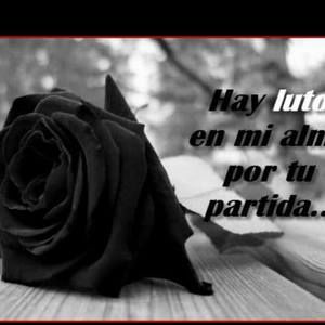 Meet your Posher, Randi