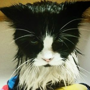 Meet your Posher, Jena