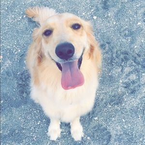 Meet your Posher, Jenna