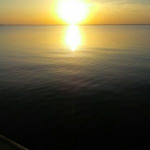 Meet your Posher, Pamela