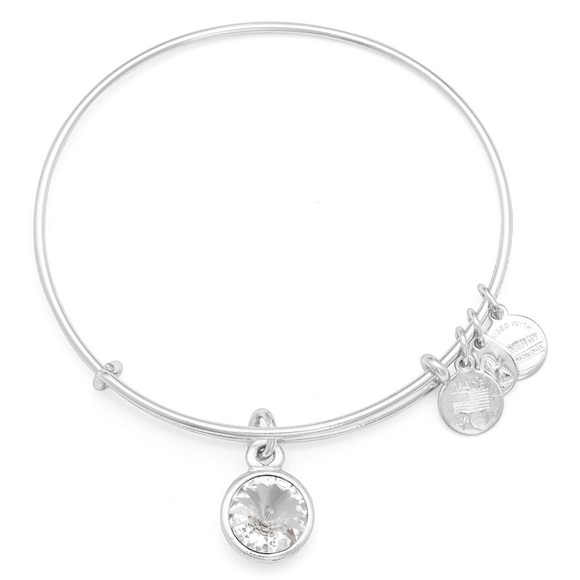 Set of 2 Alex & Ani charm Bracelets one NWT