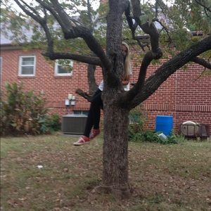 Meet your Posher, Callie