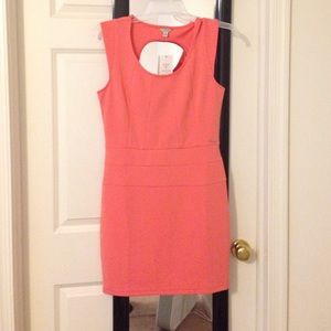 Marin Scuba Dress