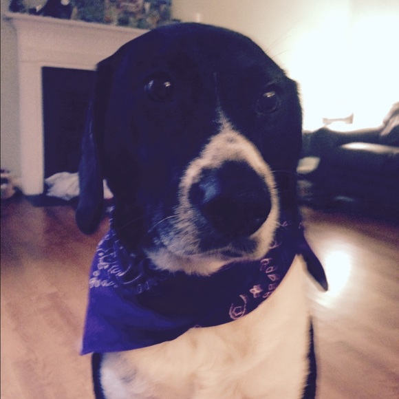 Meet your Posher, Beth - Picture 1 of 1