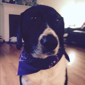 Meet your Posher, Beth