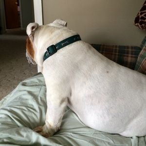 Meet your Posher, Kate