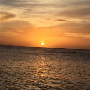 Meet your Posher, Shelly