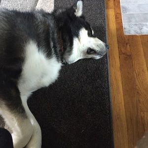 Meet your Posher, Jenn