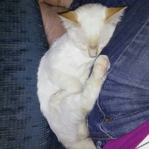 Meet your Posher, Trisha