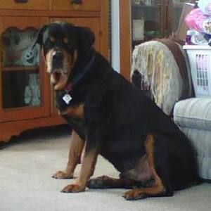 Meet your Posher, Rylee joann