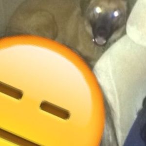 Meet your Posher, Desiray