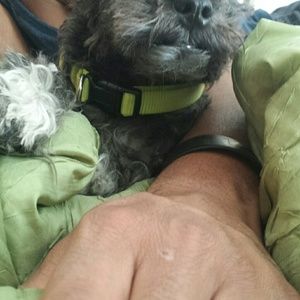 Meet your Posher, Brennan