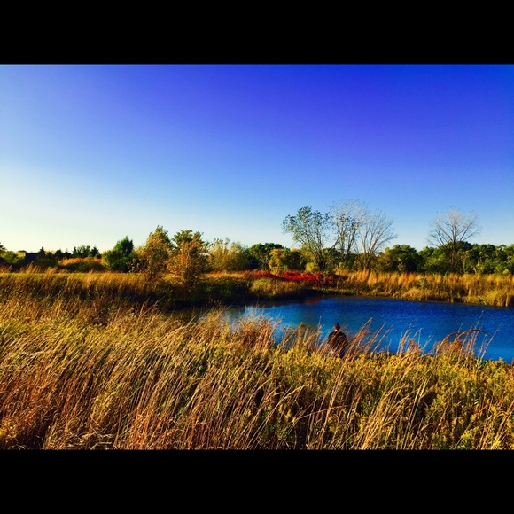 Meet your Posher, Courtney