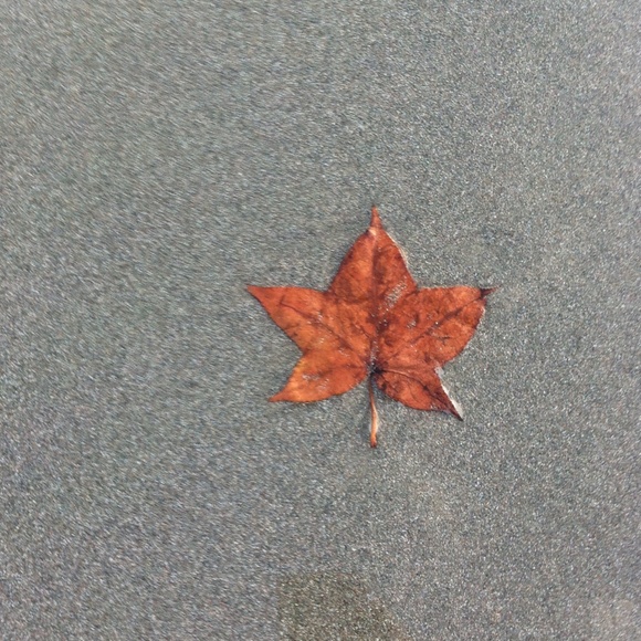 Meet your Posher, Tamara - Picture 1 of 1