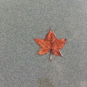 Meet your Posher, Tamara