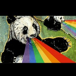 Meet your Posher, Cameron