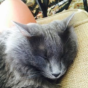 Meet your Posher, Lisa