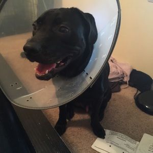 Meet your Posher, Sage