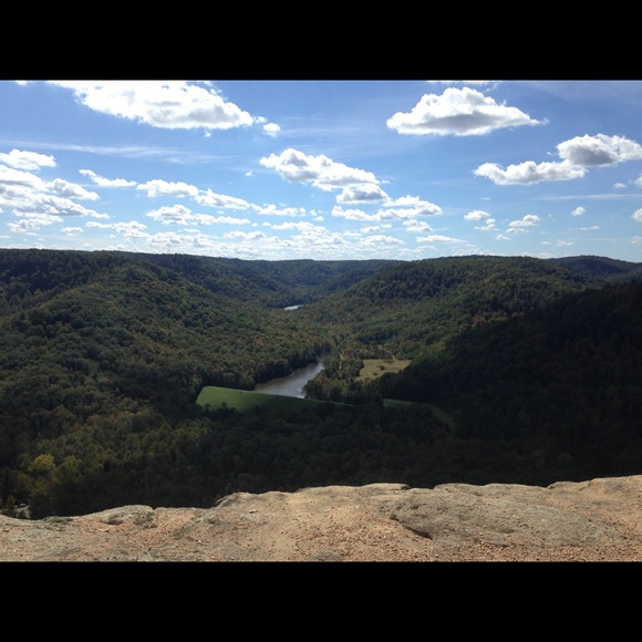 Meet your Posher, Betsy