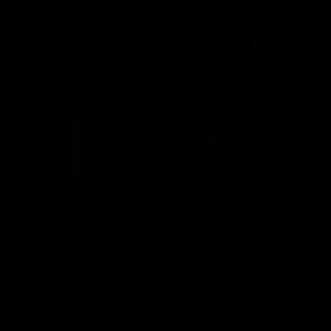 Meet your Posher, Shay