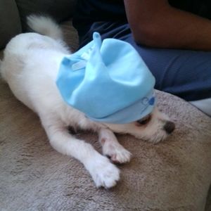 Meet your Posher, Alvina