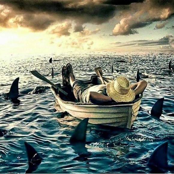 Meet your Posher, Bob