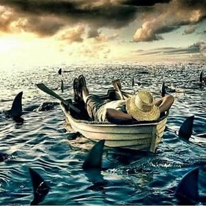 Meet your Posher, Bob