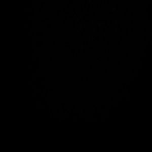 Meet your Posher, Toni