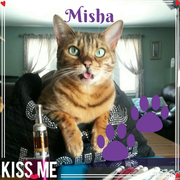 🐆🐆Meet Misha🐆🐆 - Picture 3 of 10