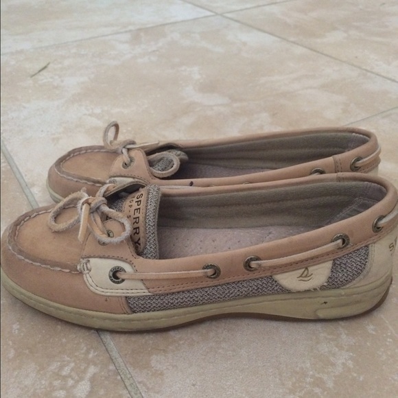 Sperrys Angelfish