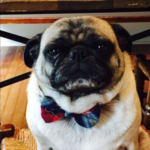 Meet your Posher, Danyelle