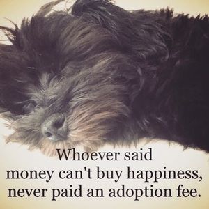 Meet your Posher, Barbara