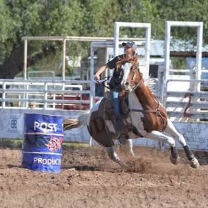 Meet your Posher, Shelby