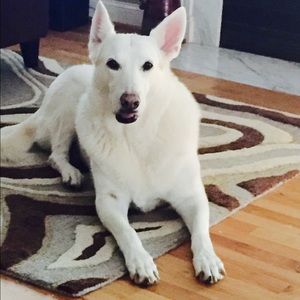 Meet your Posher, Kendra