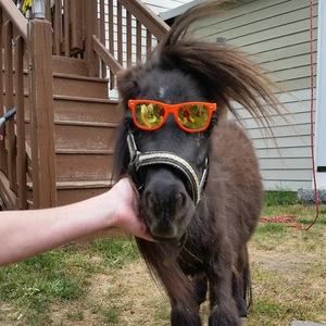 Meet your Posher, Cynthia