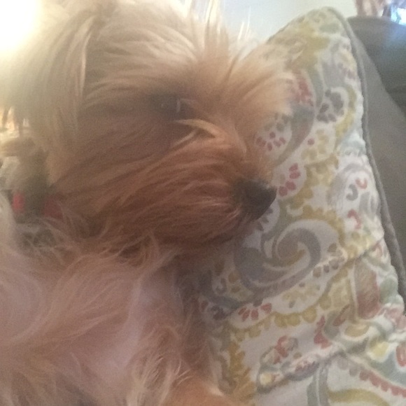 Meet your Posher, Maria