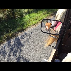 Meet your Posher, Carlotta