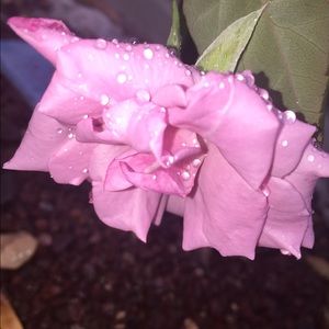 Meet your Posher, Keely