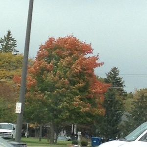 Meet your Posher, Maryann