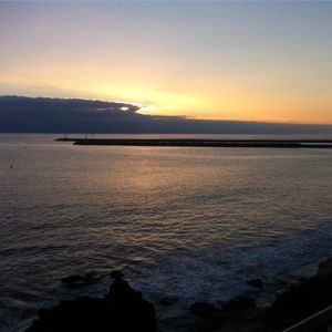 Meet your Posher, Bryce