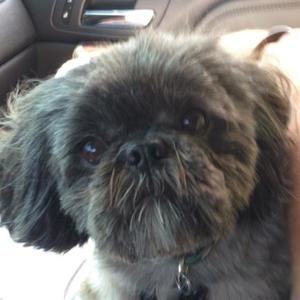 Meet your Posher, Joshua