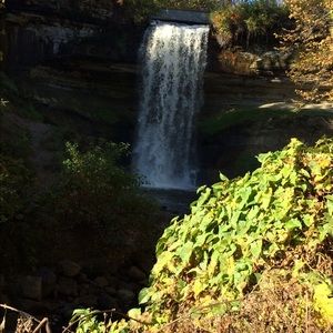 Meet your Posher, Brady