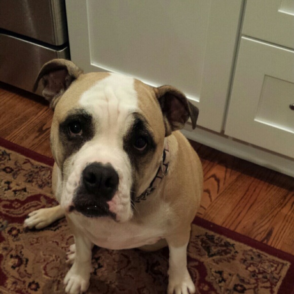 Meet your Posher, Tracy