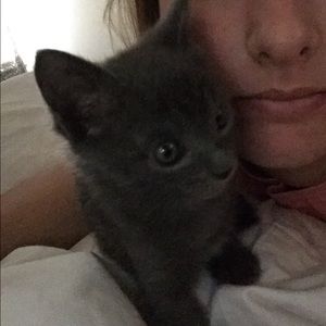 Meet your Posher, Jenna