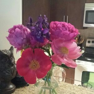 Meet your Posher, Caitlin