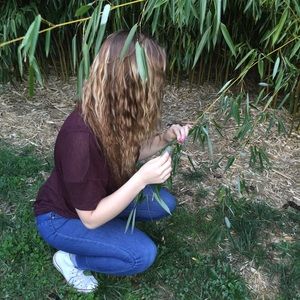 Meet your Posher, Brandi