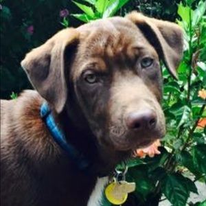 Meet your Posher, Samantha