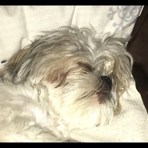 Meet your Posher, Dana