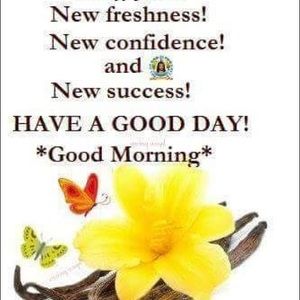 Meet your Posher, Terisha